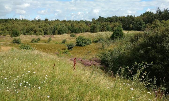 Böhler Landgang